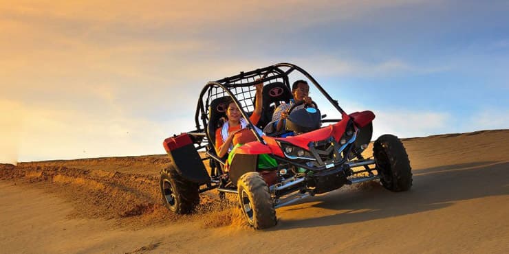 Buggy Rides